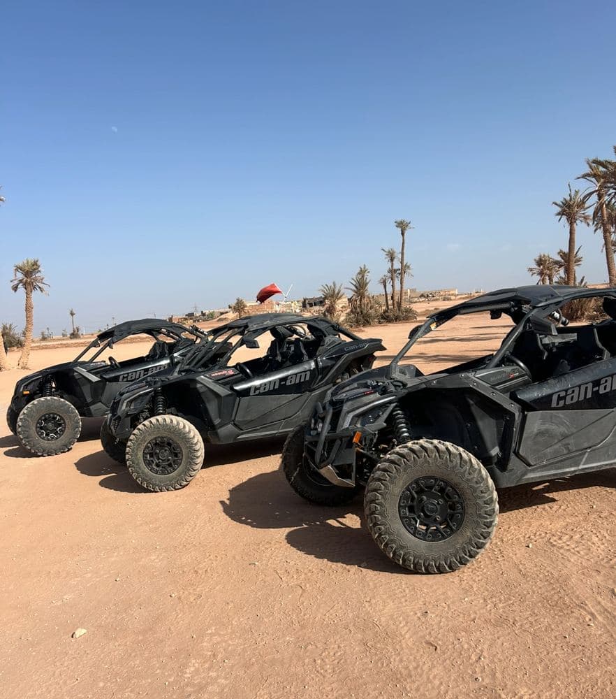 Buggys Can-Am dans la palmeraie de Marrakech